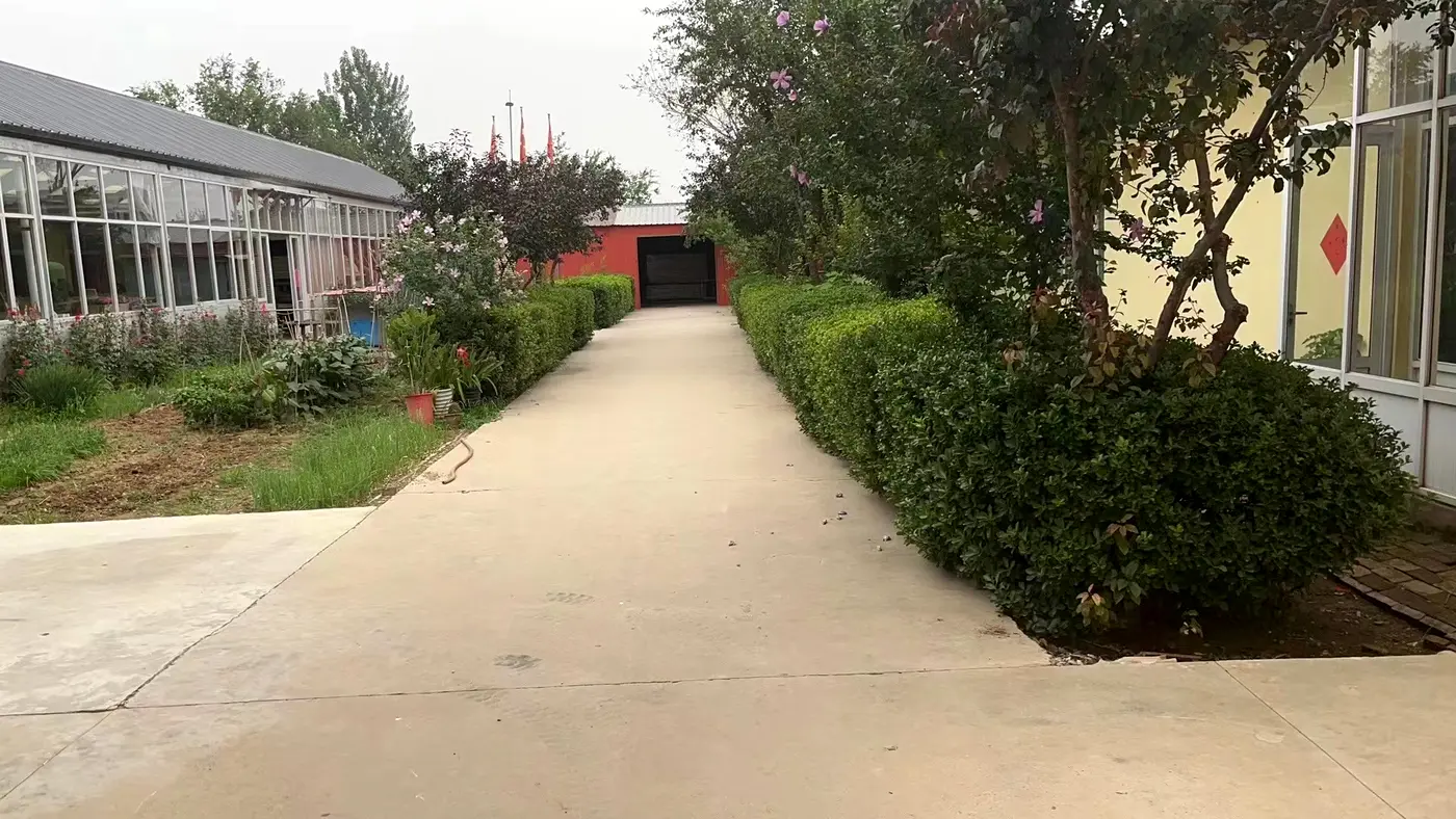 Cangzhou Fuhong factory grounds